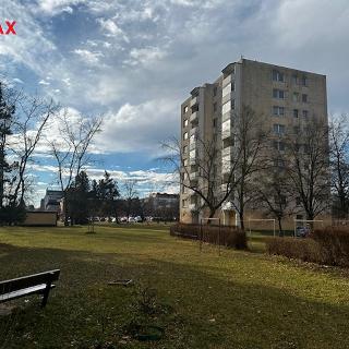 Pronájem bytu 1+1 37 m² České Budějovice, Emy Destinové