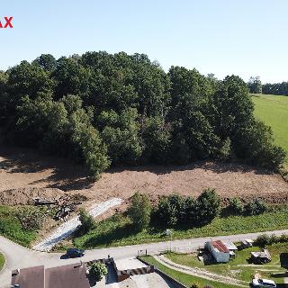 Prodej stavební parcely 7 006 m² Dubičné