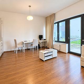 Pronájem bytu 1+kk, garsoniery 35 m&sup2; Brno