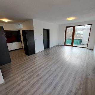 Prodej bytu 3+kk 80 m² Brno, Pod kopcem