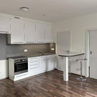 Pronájem bytu 2+kk 41 m² Brno, Vomáčkova