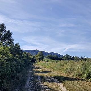 Prodej stavební parcely 834 m&sup2; Dolní Věstonice