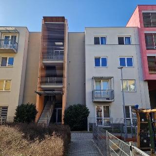 Prodej bytu 1+kk a garsoniéry 41 m² Brno, Blažovická