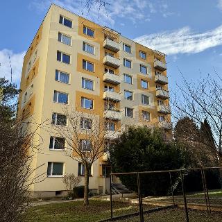 Pronájem bytu 3+1 68 m² Brno, Valouškova