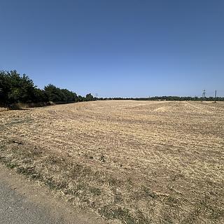 Prodej zahrady 500 m&sup2; Ořechov