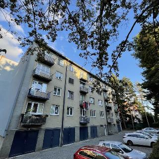 Prodej bytu 4+1 89 m² Brno, Purkyňova