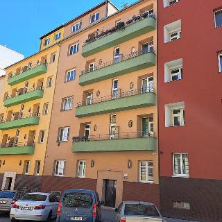 Prodej bytu 1+kk a garsoniéry 40 m² Brno, Antonínská