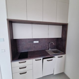 Pronájem bytu 1+kk a garsoniéry 31 m² Brno, Opuštěná