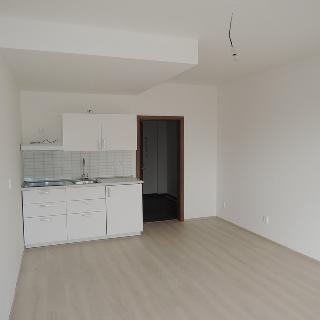 Pronájem bytu 1+kk a garsoniéry 32 m² Brno, Pastviny