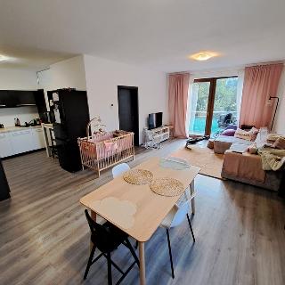 Prodej bytu 3+kk 80 m² Brno, Pod kopcem