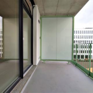 Pronájem bytu 1+kk a garsoniéry 29 m² Brno Trnitá, Placzkova