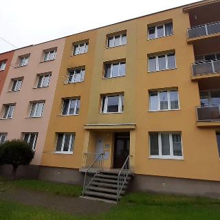 Prodej bytu 2+1 46 m² Bor, Borská