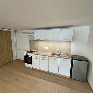 Pronájem bytu 1+kk, garsoniery 47 m&sup2; Troskotovice