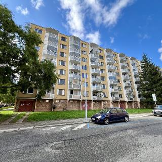 Prodej bytu 3+1 75 m² Brno, Galandauerova