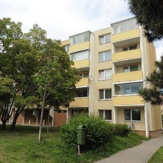 Pronájem bytu 1+1 36 m² Šlapanice, Brněnská