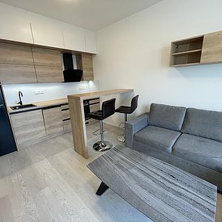 Pronájem kanceláře 50 m&sup2; Brno
