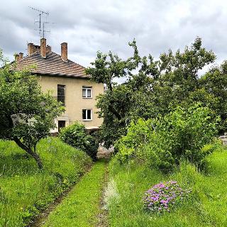 Prodej rodinného domu 452 m² Brno, Erbenova