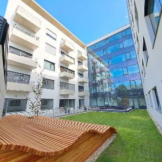 Pronájem bytu 3+kk 115 m² Brno, Opuštěná