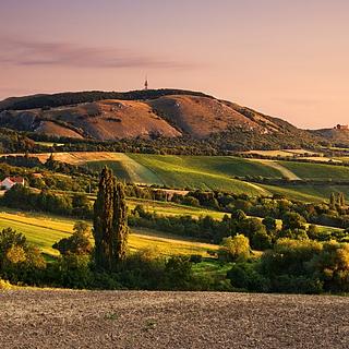 Prodej rodinného domu 134 m&sup2; Pasohlávky