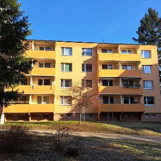 Prodej bytu 2+1 52 m² Brno, Vondrákova