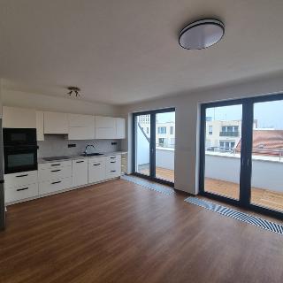 Pronájem bytu 2+kk 58 m² Brno, Opuštěná