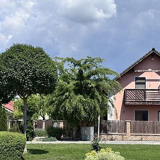Prodej rodinného domu 172 m&sup2; Jevišovka