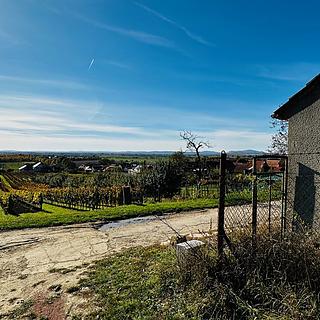 Prodej vinného sklepa 100 m&sup2; Velké Bílovice