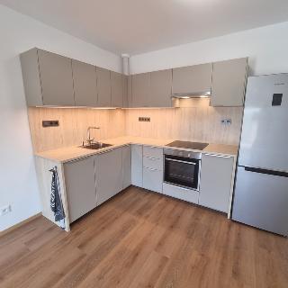 Pronájem bytu 2+kk 51 m² Rostěnice-Zvonovice