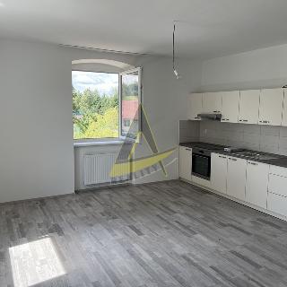 Pronájem bytu 3+kk 108 m² Černá v Pošumaví