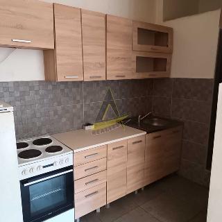 Pronájem bytu 1+kk a garsoniéry 40 m² Libějovice