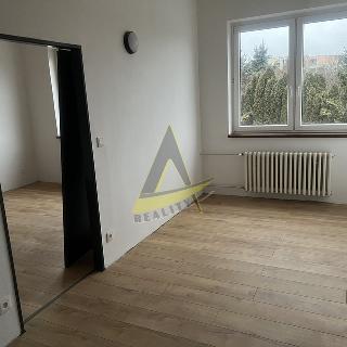 Pronájem bytu 2+kk 129 m² Netolice, Hornická