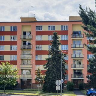 Prodej bytu 2+1 60 m² Cheb, Přátelství