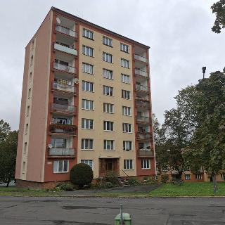 Prodej bytu 3+1 60 m² Cheb, Lesní