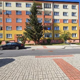 Prodej bytu 3+1 68 m² Cheb, V Zahradách