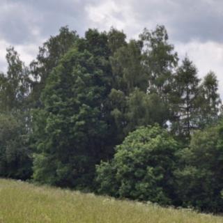 Prodej ostatních pozemků 39941 m&sup2; Pomezí nad Ohří