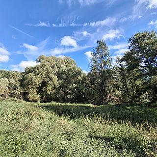 Prodej stavební parcely 4644 m&sup2; Milíkov