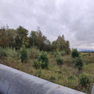 Prodej komerčního pozemku 3546 m&sup2; Chodov