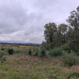 Prodej ostatních pozemků 3546 m&sup2; Chodov