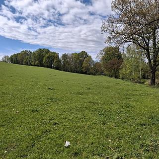 Prodej louky 16692 m&sup2; Cheb