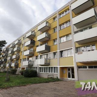 Pronájem bytu 3+1 50 m² Hradec Králové, Slezská