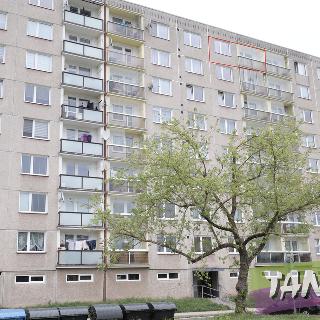 Pronájem bytu 2+1 57 m² Trutnov, Sněženková