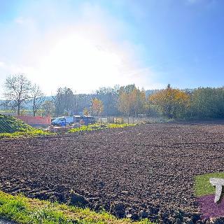 Prodej stavební parcely 1 980 m² Dvůr Králové nad Labem, 