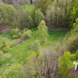 Prodej stavební parcely 11 509 m² Mladé Buky Kalná Voda