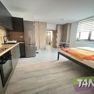 Pronájem bytu 2+kk 56 m² Dvůr Králové nad Labem, Dukelská