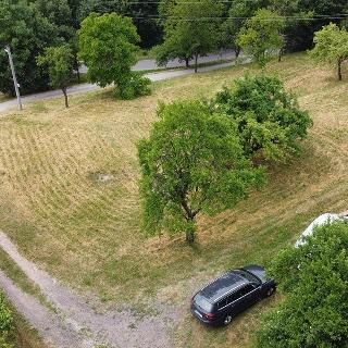 Prodej stavební parcely 2 256 m² Doubravice, 