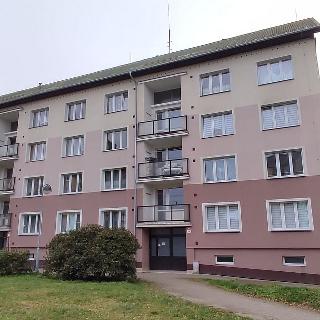 Pronájem bytu 1+kk a garsoniéry 19 m² Aš, Dobrovského