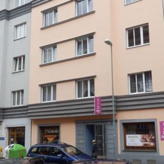 Pronájem bytu 1+kk a garsoniéry 18 m² Cheb, Mánesova