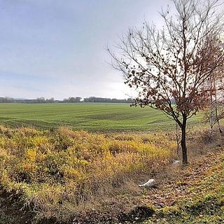 Prodej zemědělské půdy 17000 m&sup2; Cheb