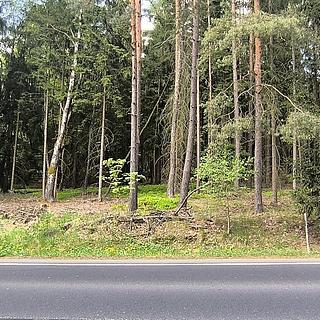 Prodej zahrady 840 m&sup2; Cheb
