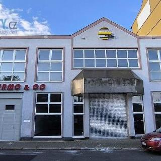 Pronájem skladu 1 635 m² Cheb, Dyleňská